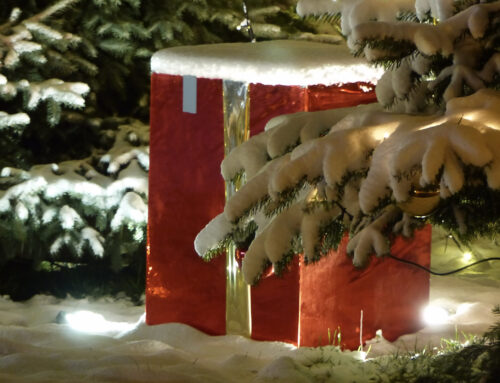 Adventskonzerte der Musikschule